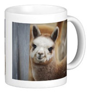 Cute Alpacas Mug for sale by Walnut Creek Alpacas