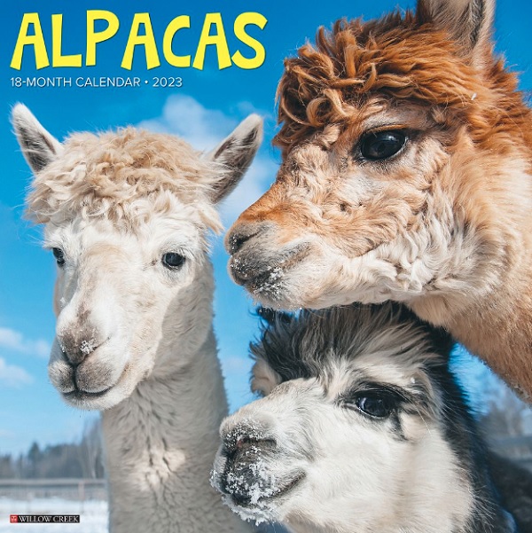 Alpacas Wall Calendar 2023 - Willow Creek Press