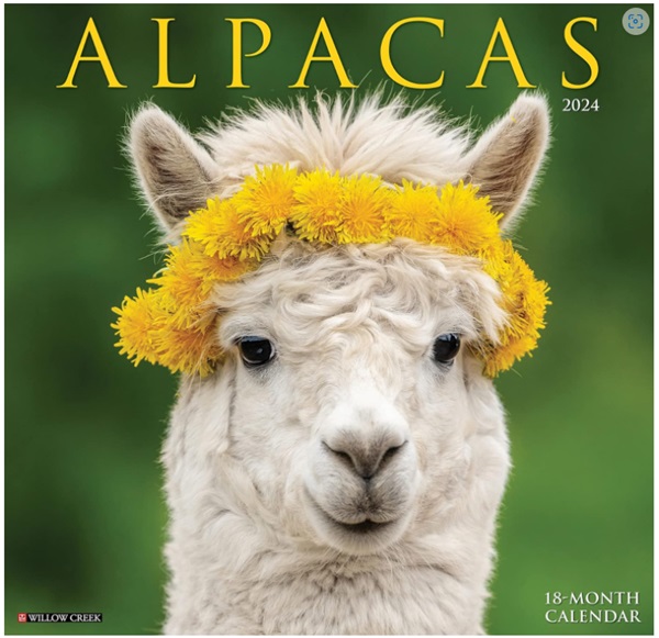 Alpacas Wall Calendar 2024 - Willow Creek Press