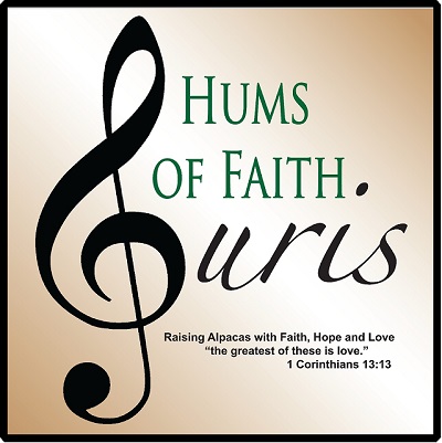 Hums of Faith Suris Alpaca