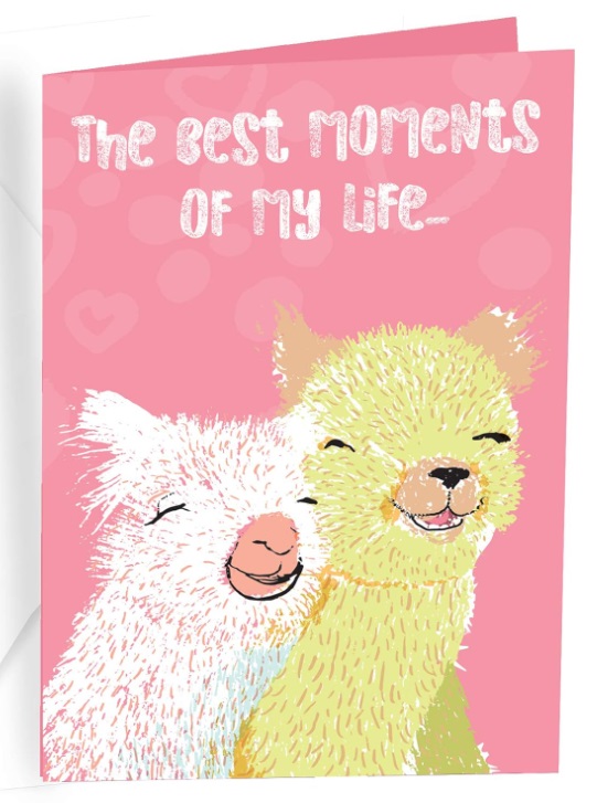 Alpaca Valentine's Day Card The Best Moments Of My Life