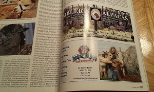 Alpacas Magazine Spring 2004 For Sale