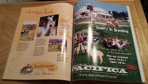 Alpacas Magazine Spring 2004 For Sale