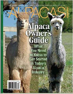 Alpacas Magazine For Sale