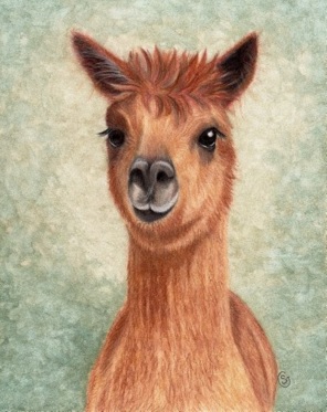 Alpaca Brown watercolor painting by Sherry Goeben