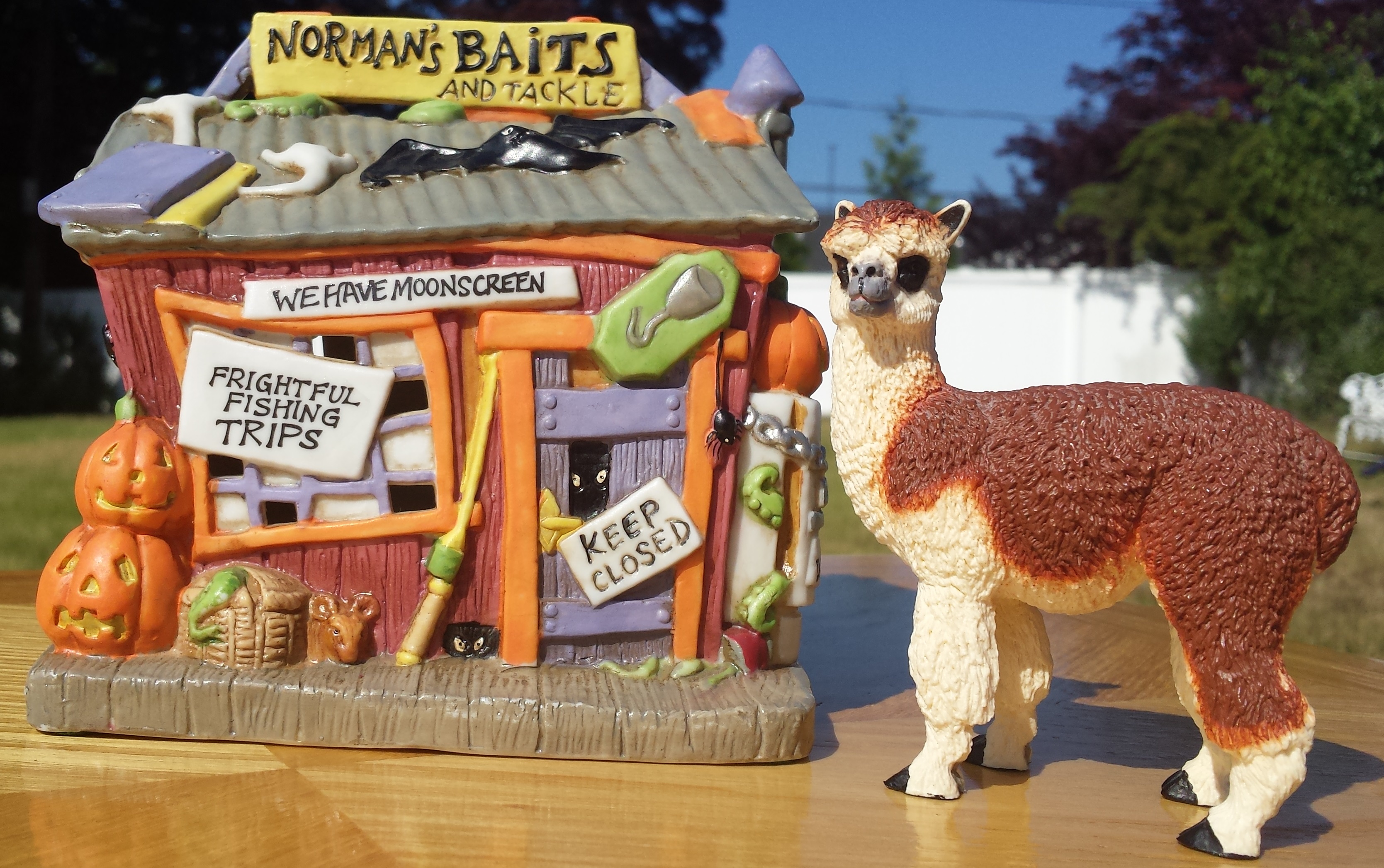 Ruffo the Alpaca standing outside Normans Baits and Tackle store