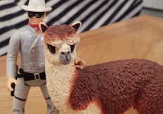 The Lone Ranger with Ruffo the Alpaca