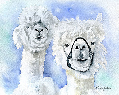 Alpacas Watercolor Painting by Susan Windsor 